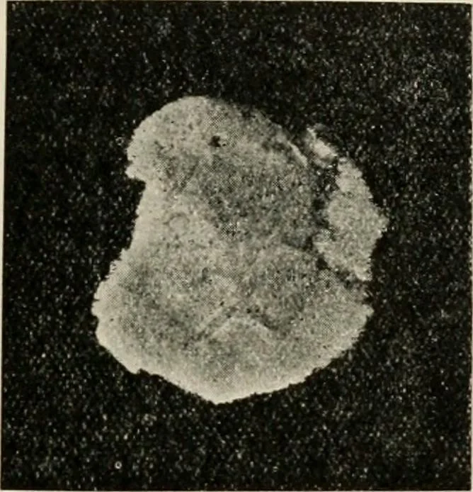 An illustration from Ireland; industrial and agricultural, 1902, leaf 96