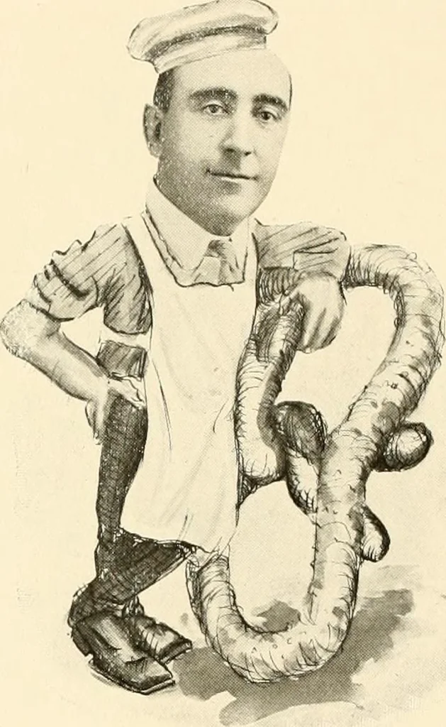 An illustration from I remember you;, 1912, leaf 91