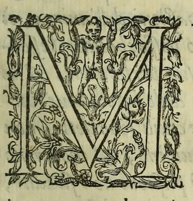 An illustration from Irene, ouero, Della bellezza, 1604, leaf 257
