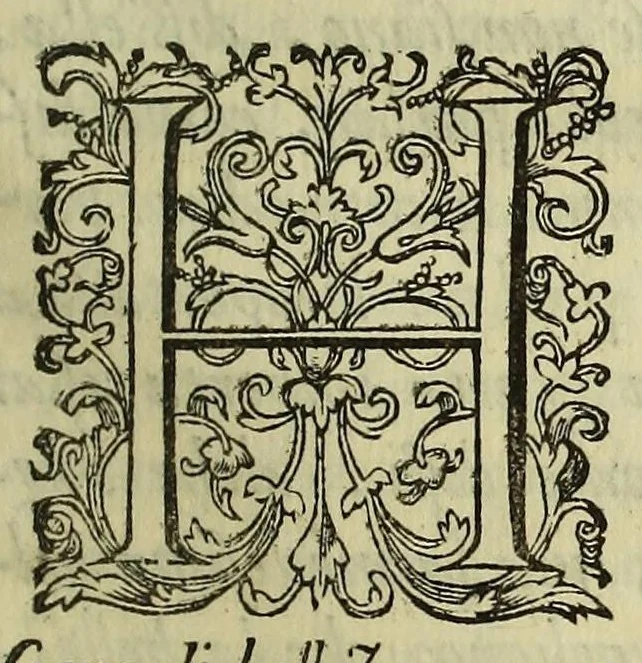 An illustration from Irene, ouero, Della bellezza, 1604, leaf 333
