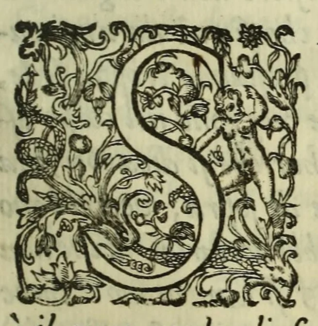 An illustration from Irene, ouero, Della bellezza, 1604, leaf 359