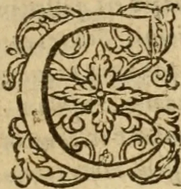 An illustration from Irenicum amatoribus veritatis et pacis in Ecclesia Scoticana, 1629, leaf 14