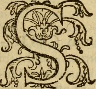 An illustration from Irenicum amatoribus veritatis et pacis in Ecclesia Scoticana, 1629, leaf 34