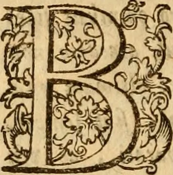 An illustration from Irenicum amatoribus veritatis et pacis in Ecclesia Scoticana, 1629, leaf 381