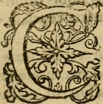 An illustration from Irenicum amatoribus veritatis et pacis in Ecclesia Scoticana, 1629, leaf 62
