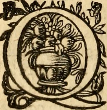 An illustration from Irenicum amatoribus veritatis et pacis in Ecclesia Scoticana, 1629, leaf 79