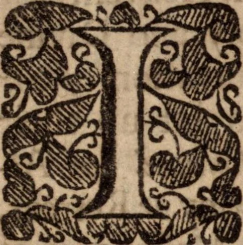 An illustration from Irenicum, a weapon-salve for the churches wounds; or, The divine right of particular forms of church-government ... with an appendix concerning the power of excommunication in a Christian church, 1662, leaf 8