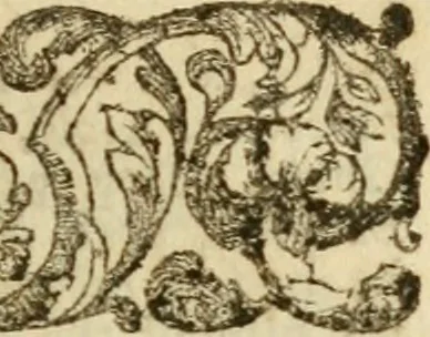 An illustration from The Irish compendium; or, Rudiments of honour. Containing the descents, marriages, issue, titles, posts, and seats of all the nobility of Ireland; with their arms, crests, supporters, mottos and Parliament robes ... Also a supplement, shewing the antiquity, dignity, and use of armories .., 1745, leaf 538