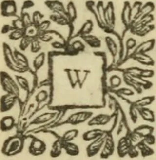 An illustration from The Irish compendium; or, Rudiments of honour. Containing the descents, marriages, issue, titles, posts, and seats of all the nobility of Ireland; with their arms, crests, supporters, mottos and Parliament robes ... Also a supplement, shewing the antiquity, dignity, and use of armories .., 1745, leaf 636