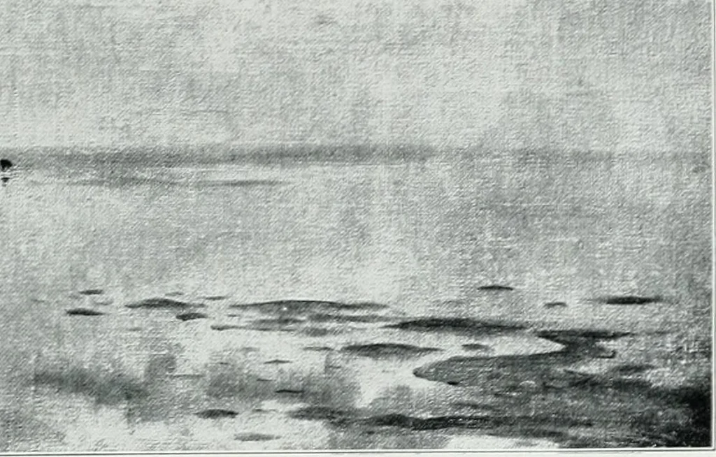 An illustration from Irish life and landscape, 1900, leaf 130