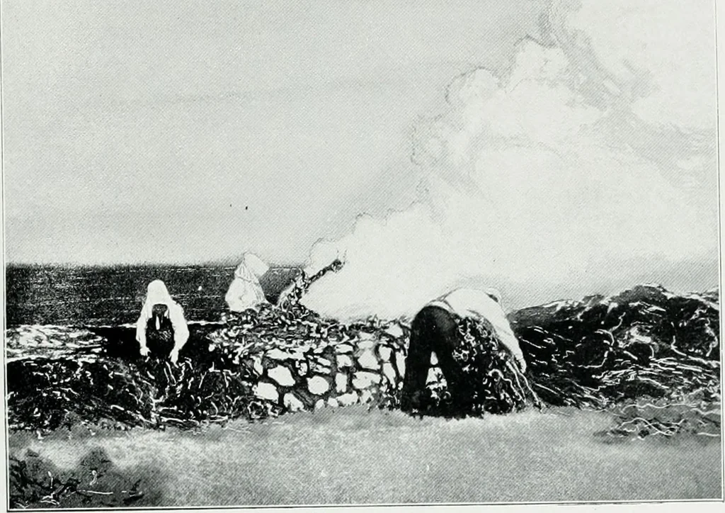 An illustration from Irish life and landscape, 1900, leaf 134