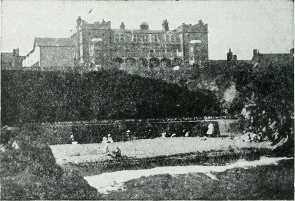 An illustration from Irish life and landscape, 1900, leaf 165