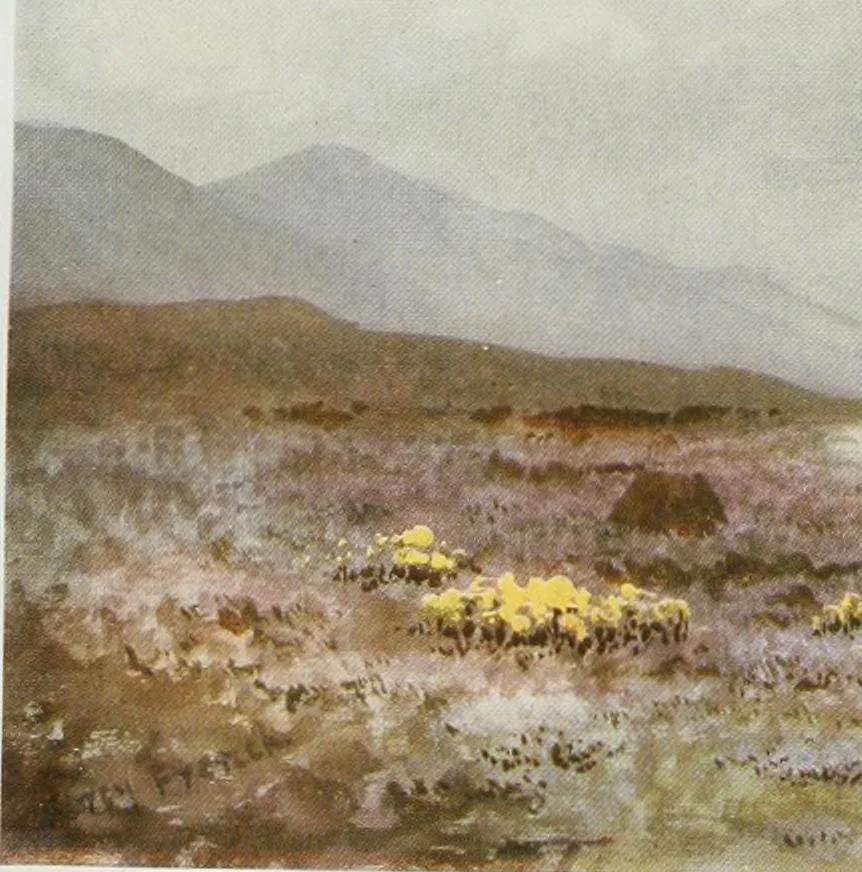 An illustration from Irish life and landscape, 1900, leaf 18