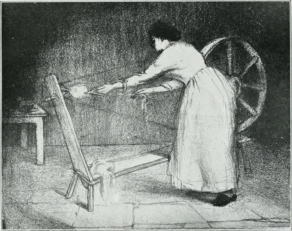 An illustration from Irish life and landscape, 1900, leaf 20