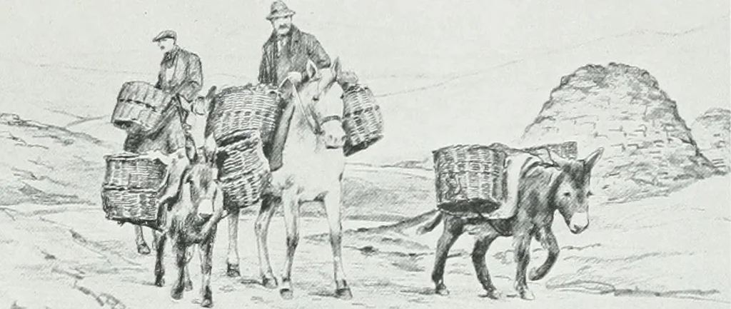 An illustration from Irish life and landscape, 1900, leaf 62