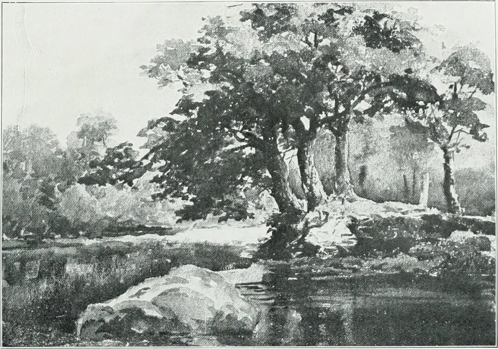An illustration from Irish life and landscape, 1900, leaf 86