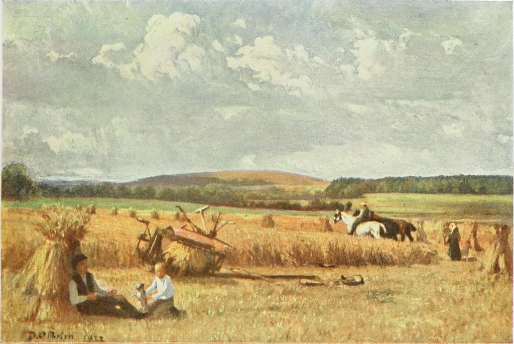 An illustration from Irish life and landscape, 1900, leaf 96