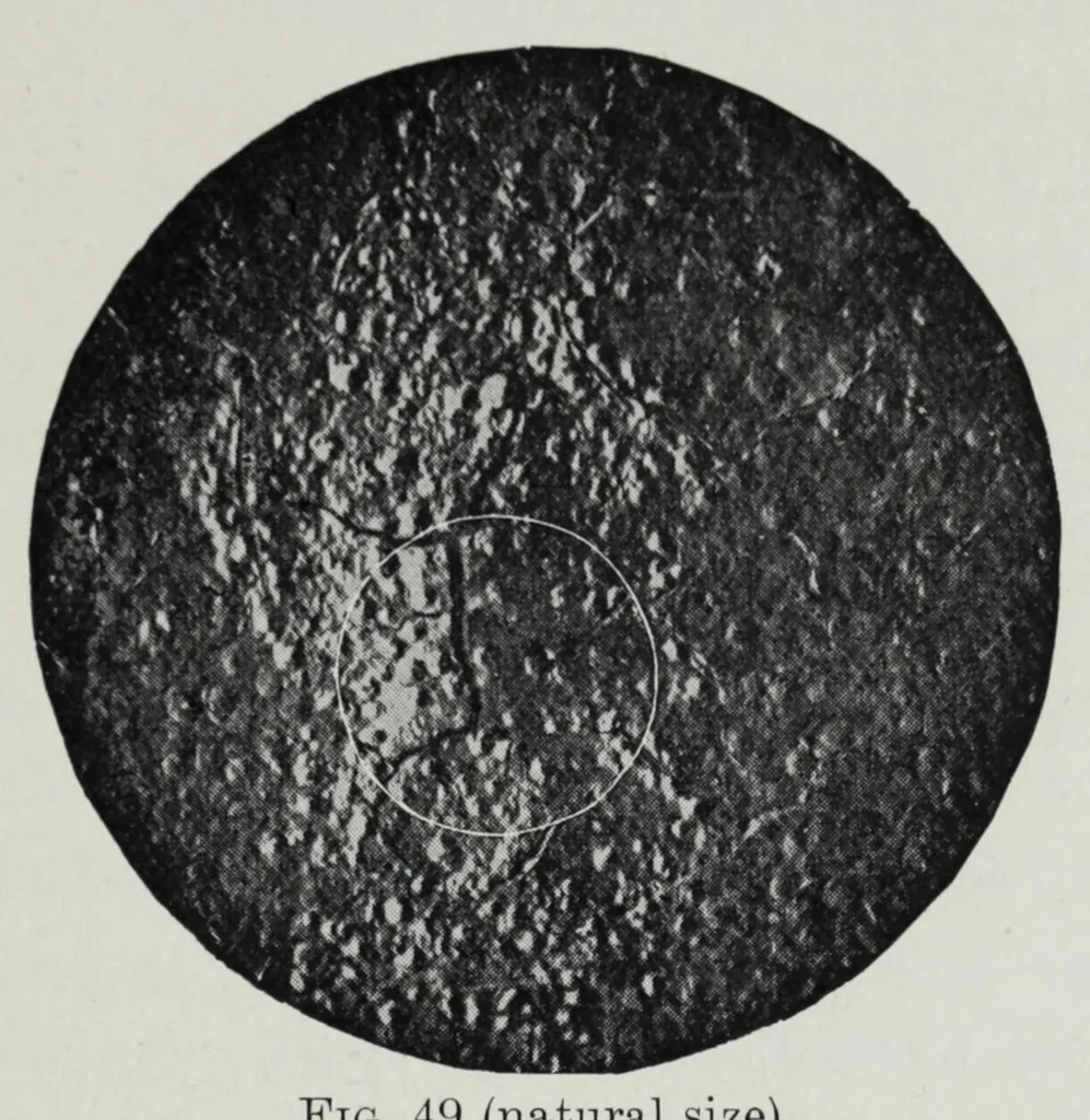 An illustration from Iron corrosion : anti-fouling and anti-corrosive paints, 1900, leaf 113