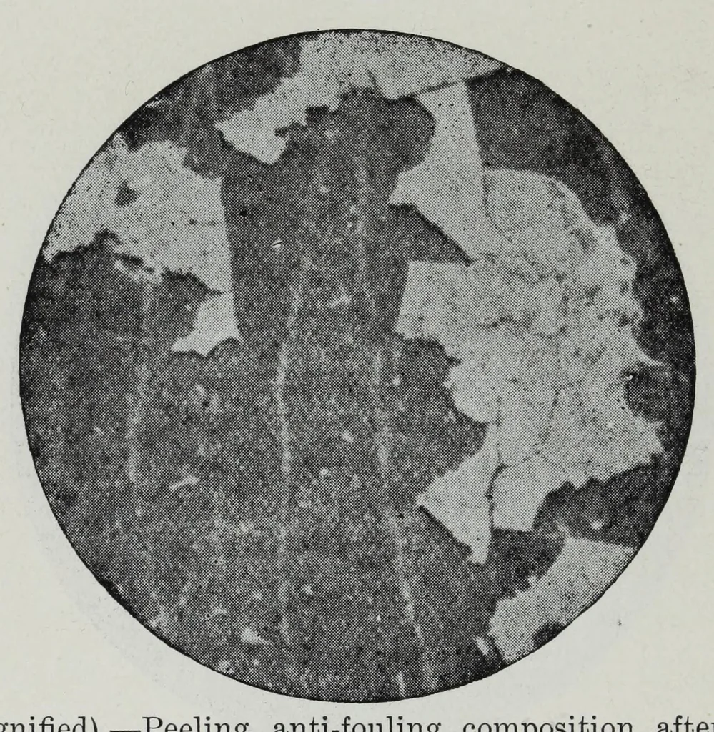 An illustration from Iron corrosion : anti-fouling and anti-corrosive paints, 1900, leaf 230