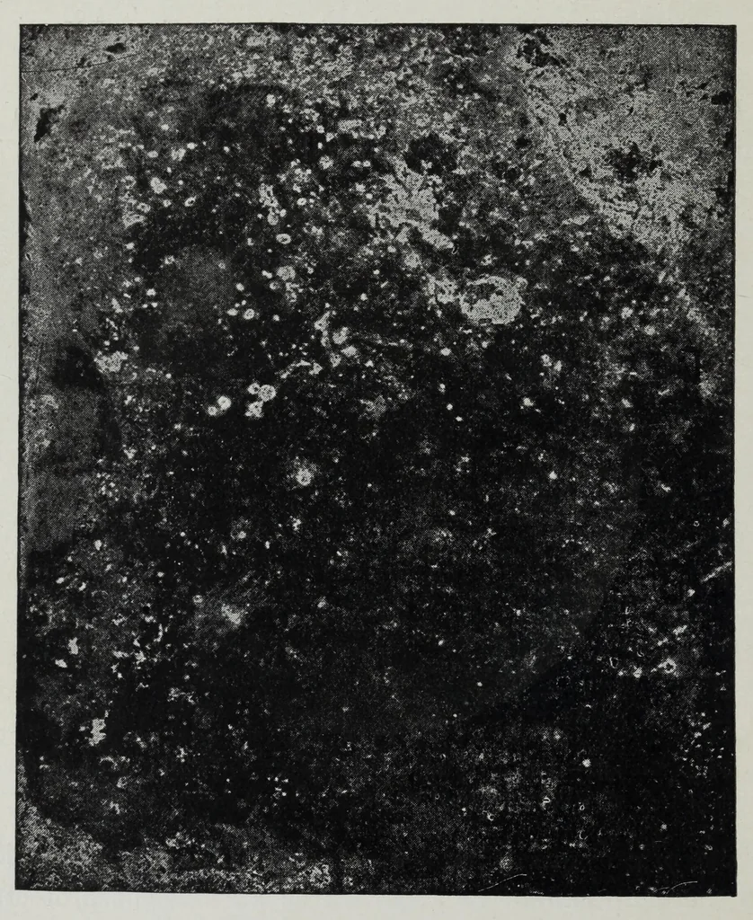 An illustration from Iron corrosion : anti-fouling and anti-corrosive paints, 1900, leaf 32
