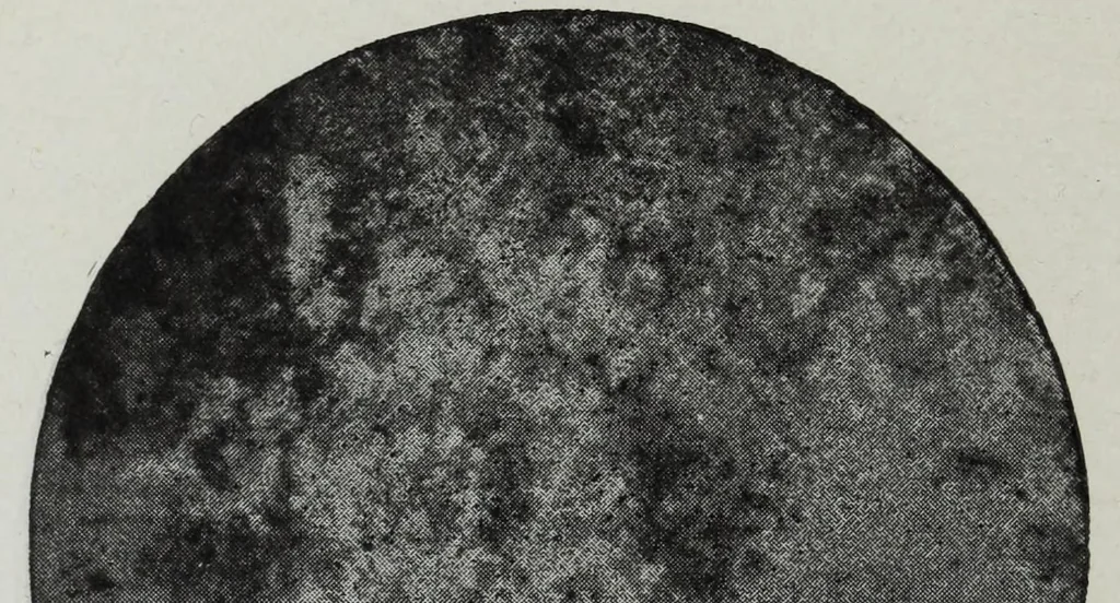 An illustration from Iron corrosion : anti-fouling and anti-corrosive paints, 1900, leaf 36