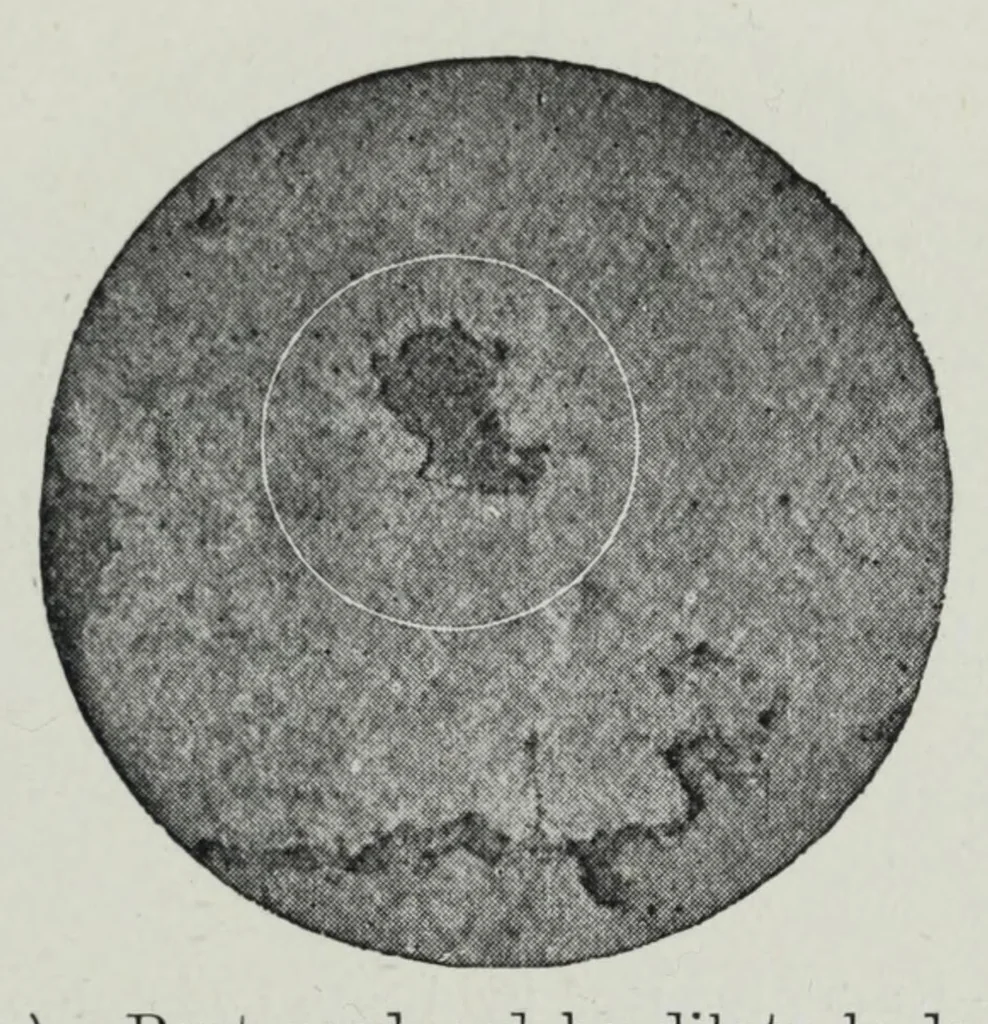 An illustration from Iron corrosion : anti-fouling and anti-corrosive paints, 1900, leaf 43