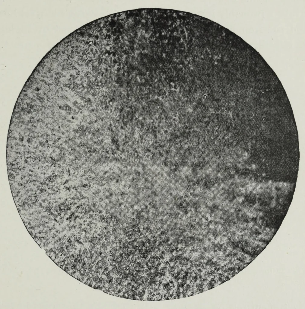 An illustration from Iron corrosion : anti-fouling and anti-corrosive paints, 1900, leaf 49