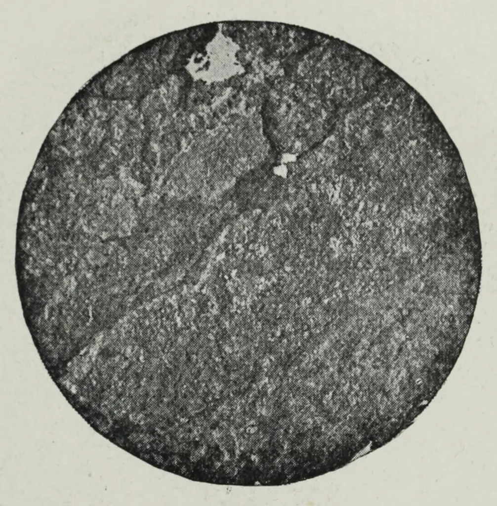 An illustration from Iron corrosion : anti-fouling and anti-corrosive paints, 1900, leaf 53