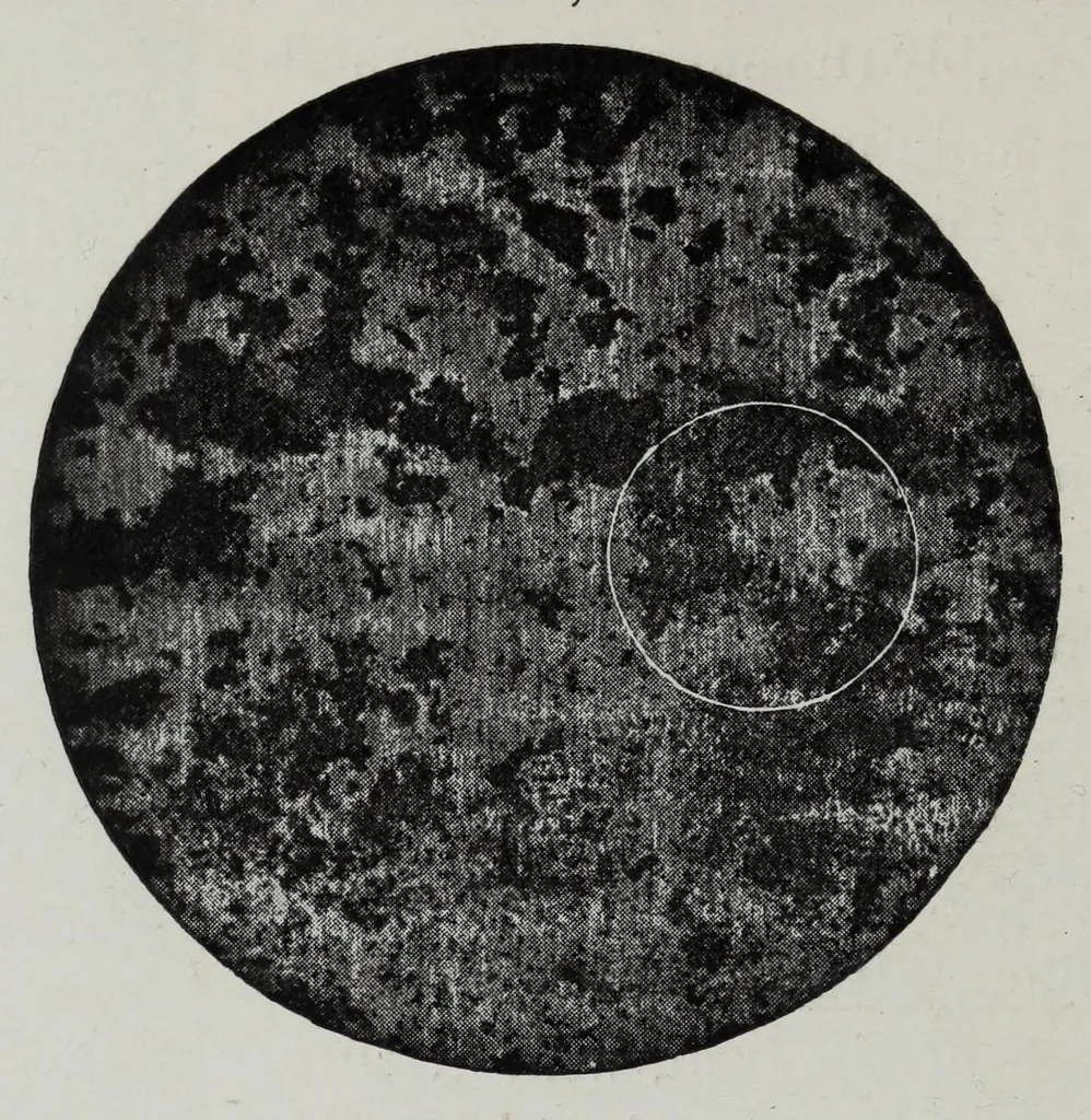 An illustration from Iron corrosion : anti-fouling and anti-corrosive paints, 1900, leaf 58