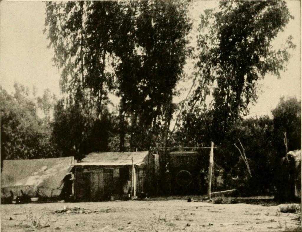 An illustration from Irrigation and religion; a study of religious and social conditions in two California counties, 1922, leaf 103