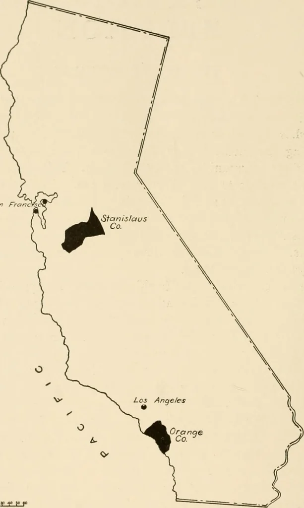 An illustration from Irrigation and religion; a study of religious and social conditions in two California counties, 1922, leaf 21
