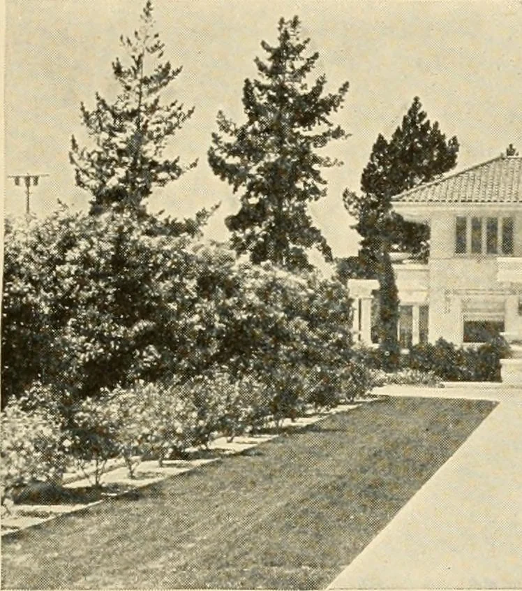 An illustration from Irrigation and religion; a study of religious and social conditions in two California counties, 1922, leaf 26