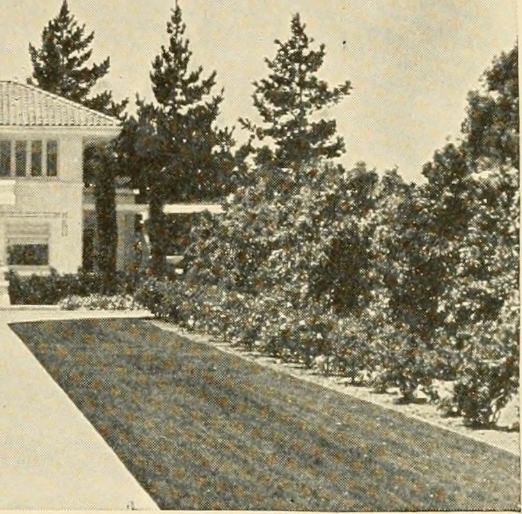 An illustration from Irrigation and religion; a study of religious and social conditions in two California counties, 1922, leaf 26