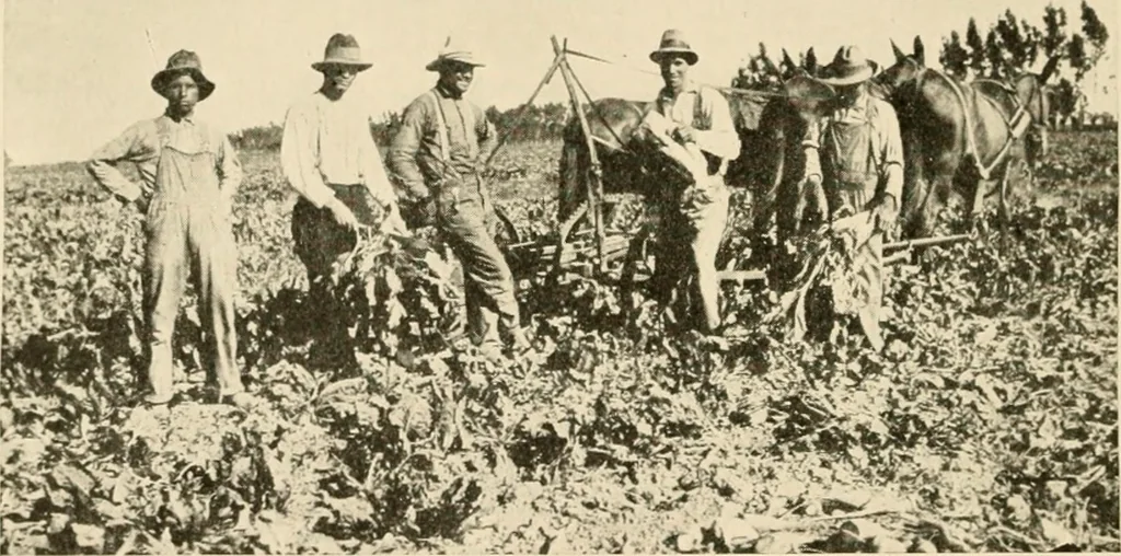 An illustration from Irrigation and religion; a study of religious and social conditions in two California counties, 1922, leaf 29
