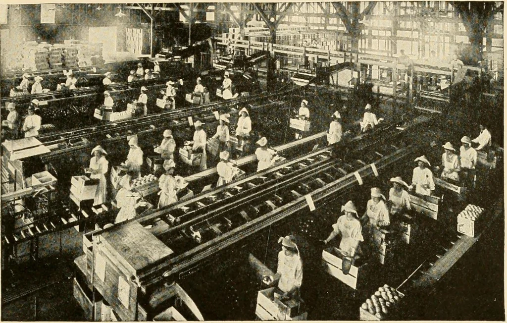 An illustration from Irrigation and religion; a study of religious and social conditions in two California counties, 1922, leaf 34