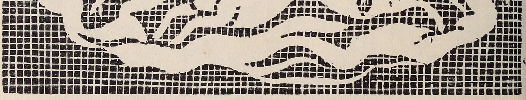 An illustration from I singolari e nuovi disegni per lavori di bianchería, 1909, leaf 101