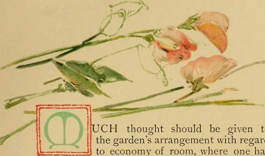 An illustration from An island garden, 1894, leaf 108
