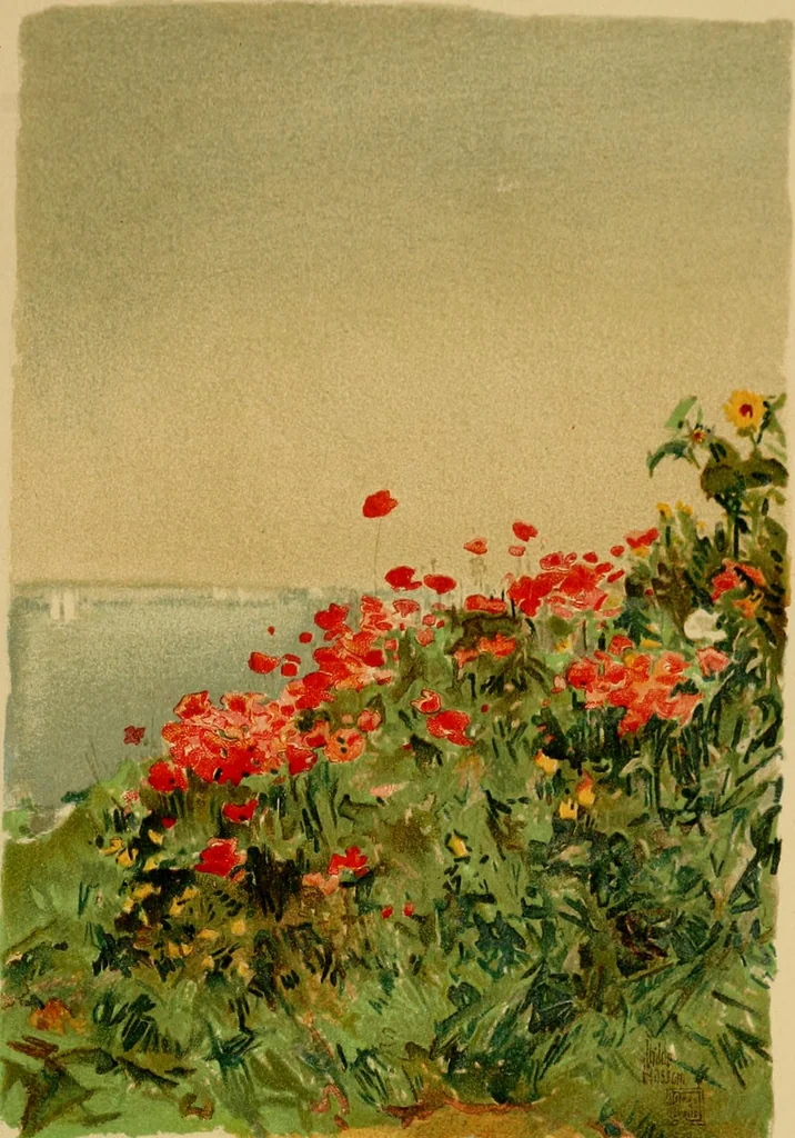An illustration from An island garden, 1894, leaf 128