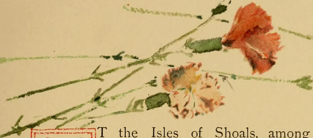An illustration from An island garden, 1894, leaf 14