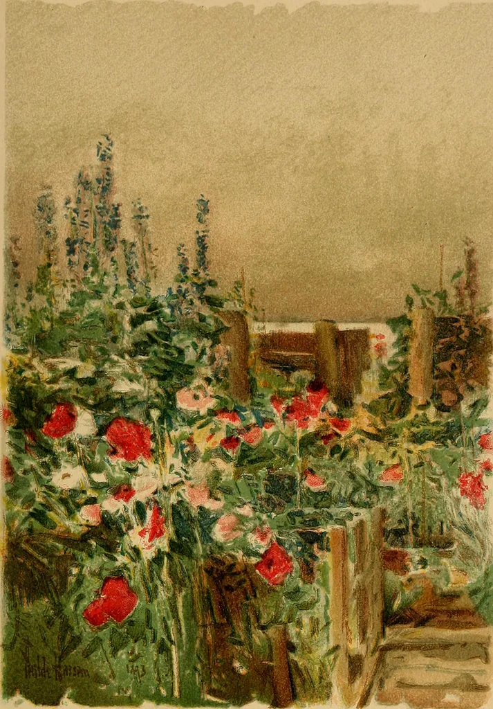 An illustration from An island garden, 1894, leaf 172