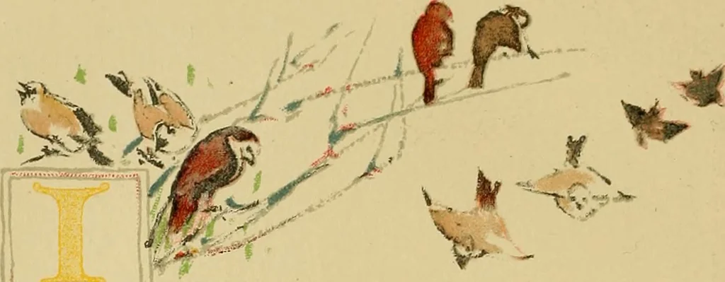 An illustration from An island garden, 1894, leaf 77