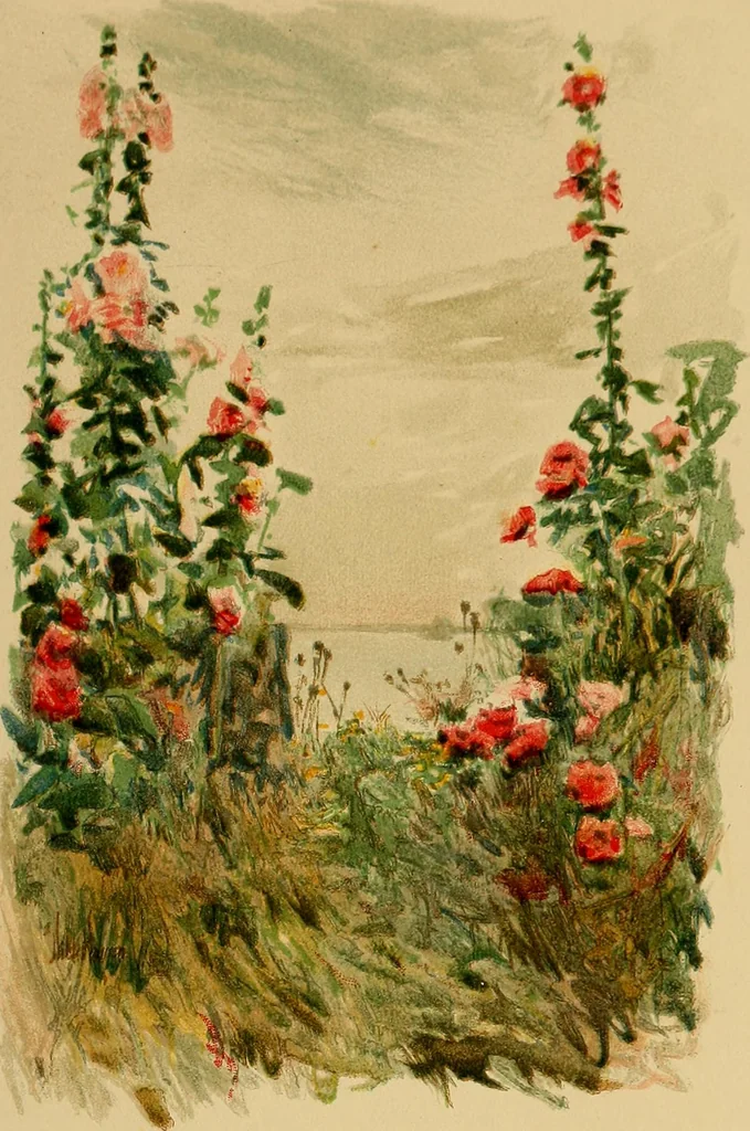 An illustration from An island garden, 1894, leaf 98