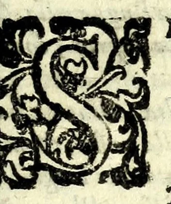 An illustration from I sospetti : comedia, 1603, leaf 125