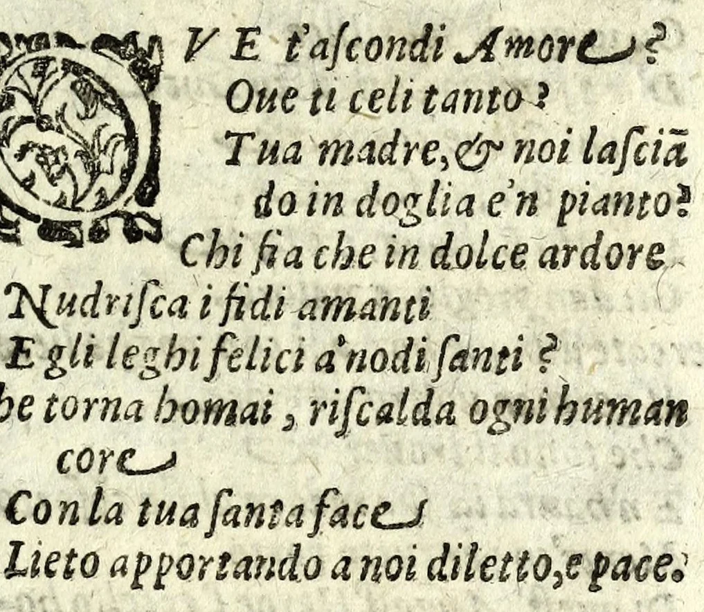 An illustration from I sospetti : comedia, 1603, leaf 21
