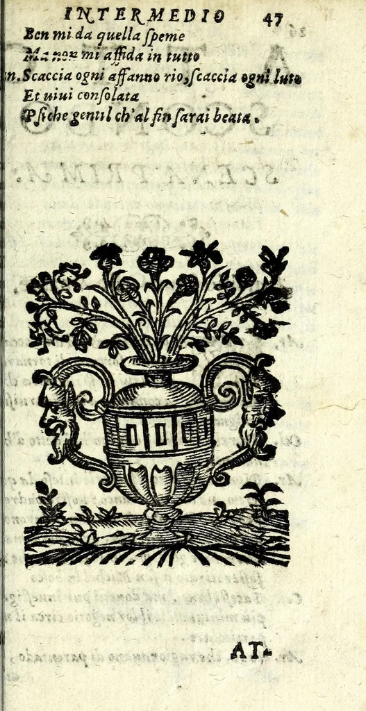 An illustration from I sospetti : comedia, 1603, leaf 53