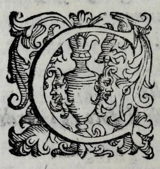 An illustration from I sospetti : favola boschereccia, 1589, leaf 60