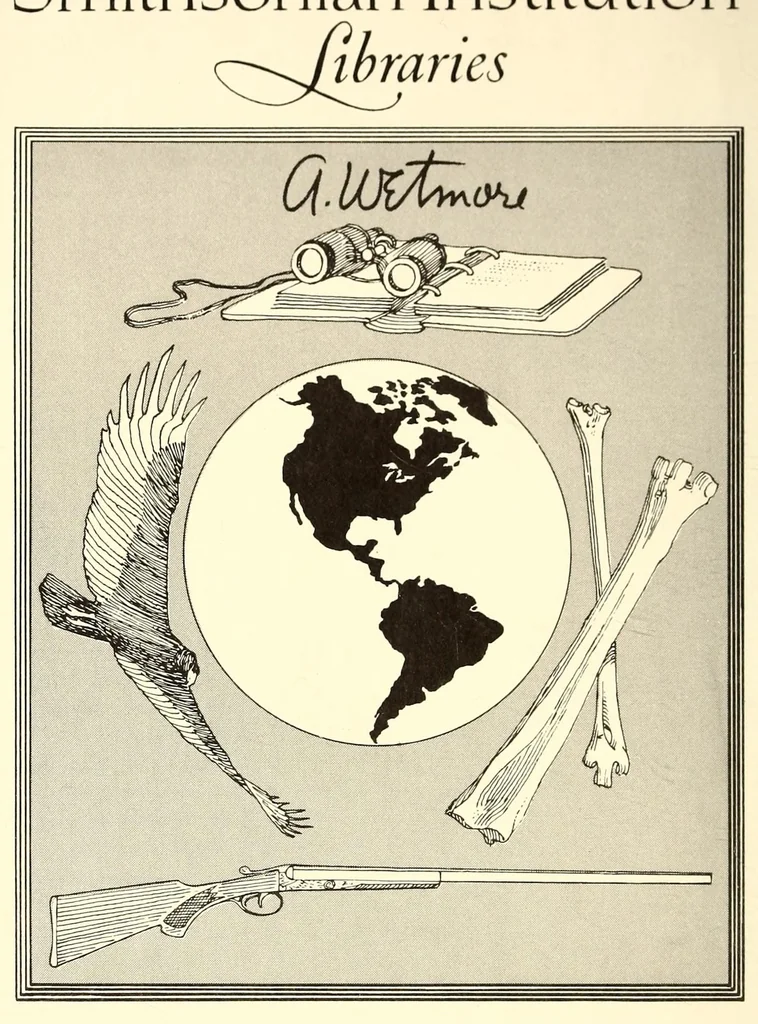 An illustration from The isthmus of Panamá, 1865, leaf 2