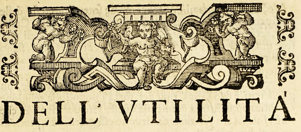 An illustration from Istoria ò breuissima relatione della distruttione dell' Indie Occidentali, 1630, leaf 19