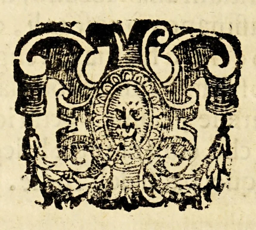 An illustration from Istoria ò breuissima relatione della distruttione dell' Indie Occidentali, 1630, leaf 22