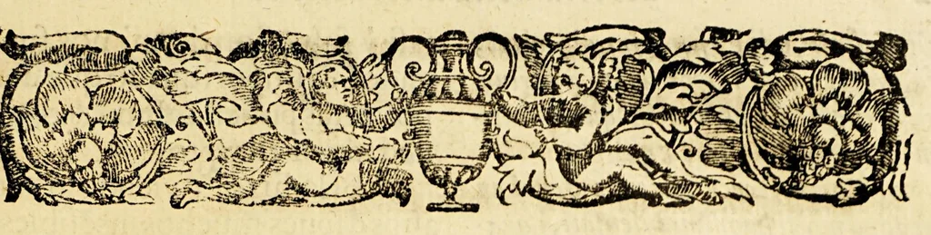 An illustration from Istoria ò breuissima relatione della distruttione dell' Indie Occidentali, 1630, leaf 23